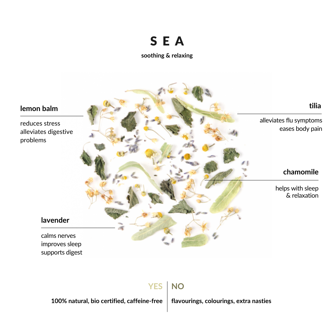 Bio Tee Kräuter Sea