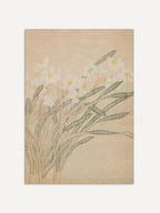 Botanischer Narzissen Kunstdruck: 30x40