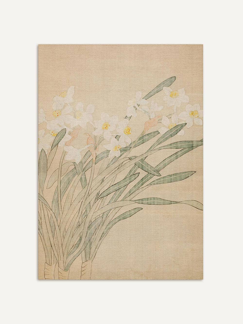 Botanischer Narzissen Kunstdruck: 30x40