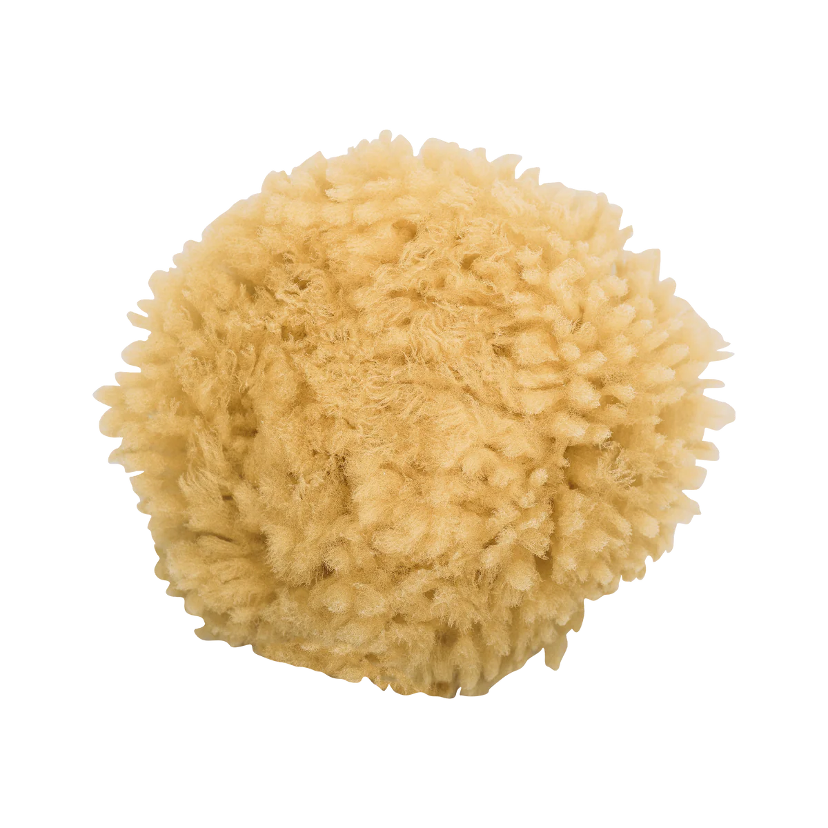 Naturschwamm