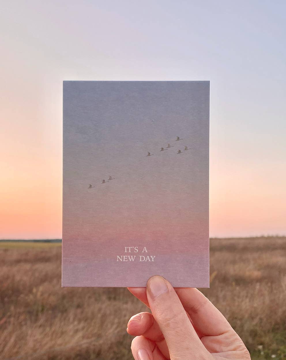 Postkarte „It's a New Day“ im DIN-A6-Format mit einem stimmungsvollen Farbverlauf, fliegenden Vögeln und dem Schriftzug vor einer natürlichen Landschaft.