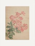 Hortensie – Botanischer Vintage Kunstdruck: 30x40