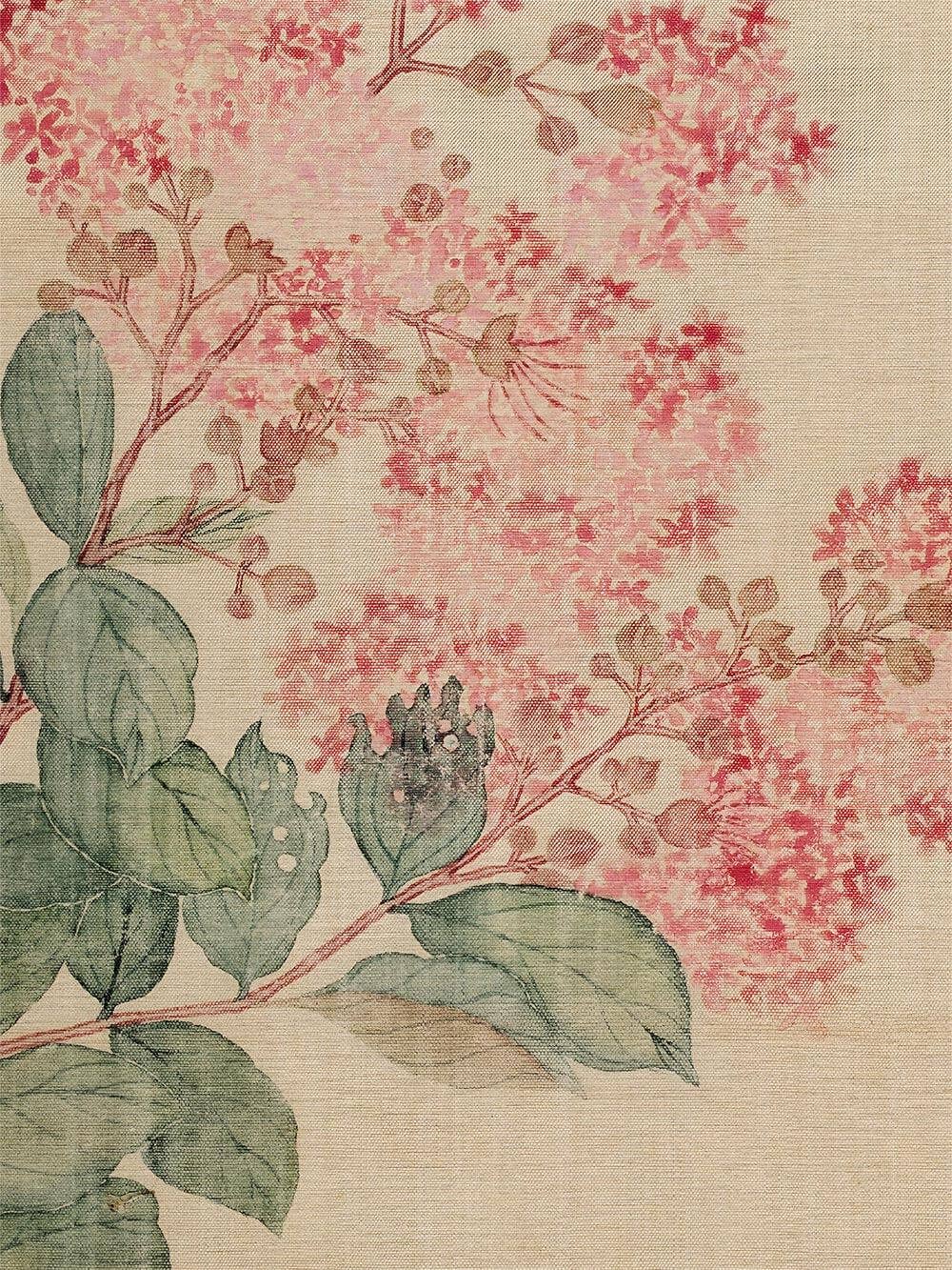 Hortensie – Botanischer Vintage Kunstdruck: 30x40