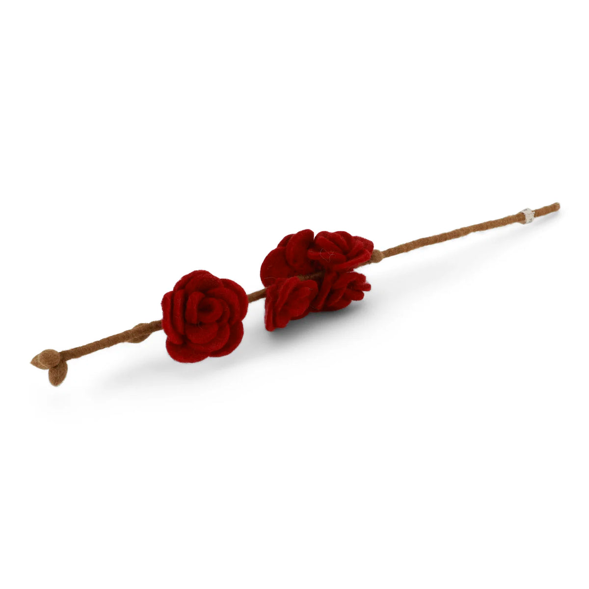rote filz rose koblenz
